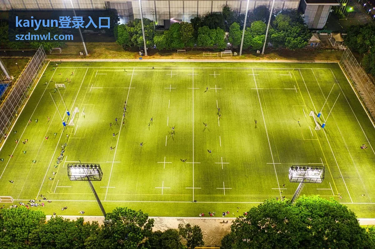 kaiyun登录入口会员权益与常见问题说明封面