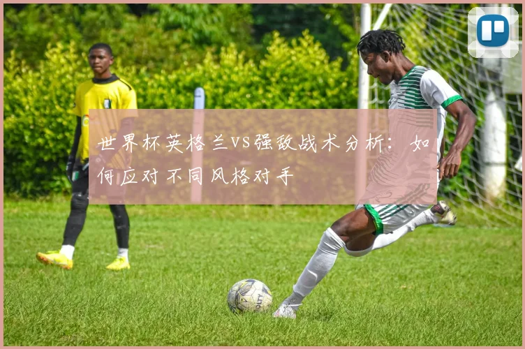 世界杯英格兰vs强敌战术分析：如何应对不同风格对手