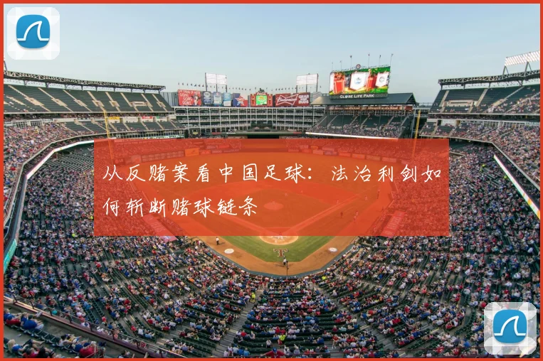 从反赌案看中国足球:法治利剑如何斩断赌球链条