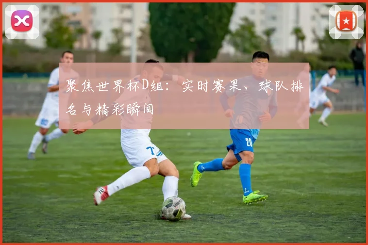 聚焦世界杯D组：实时赛果、球队排名与精彩瞬间